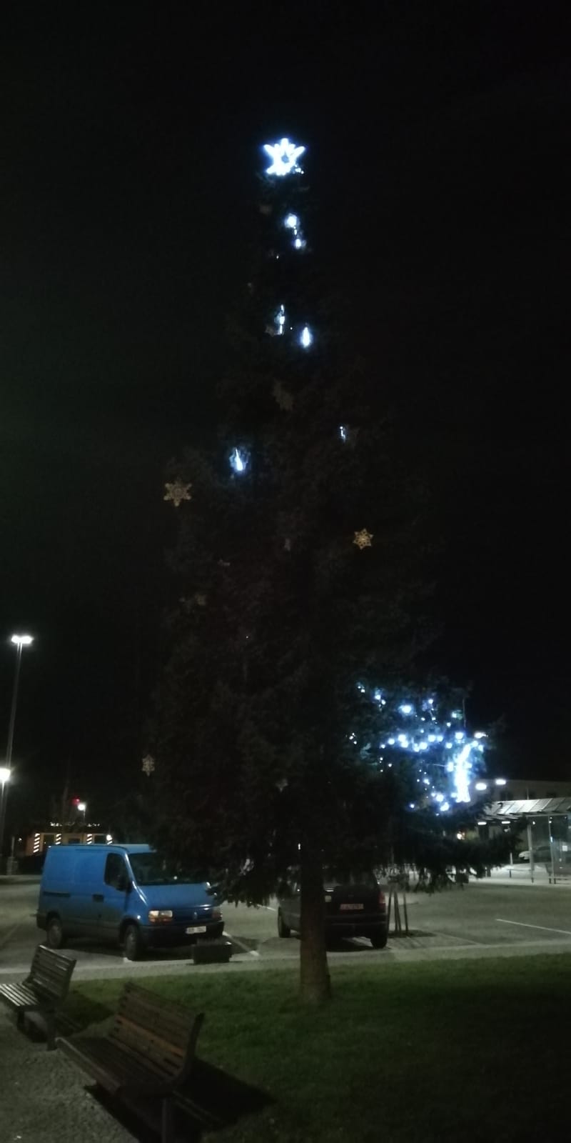 o poniceny vanocni strom | Město Varnsdorf