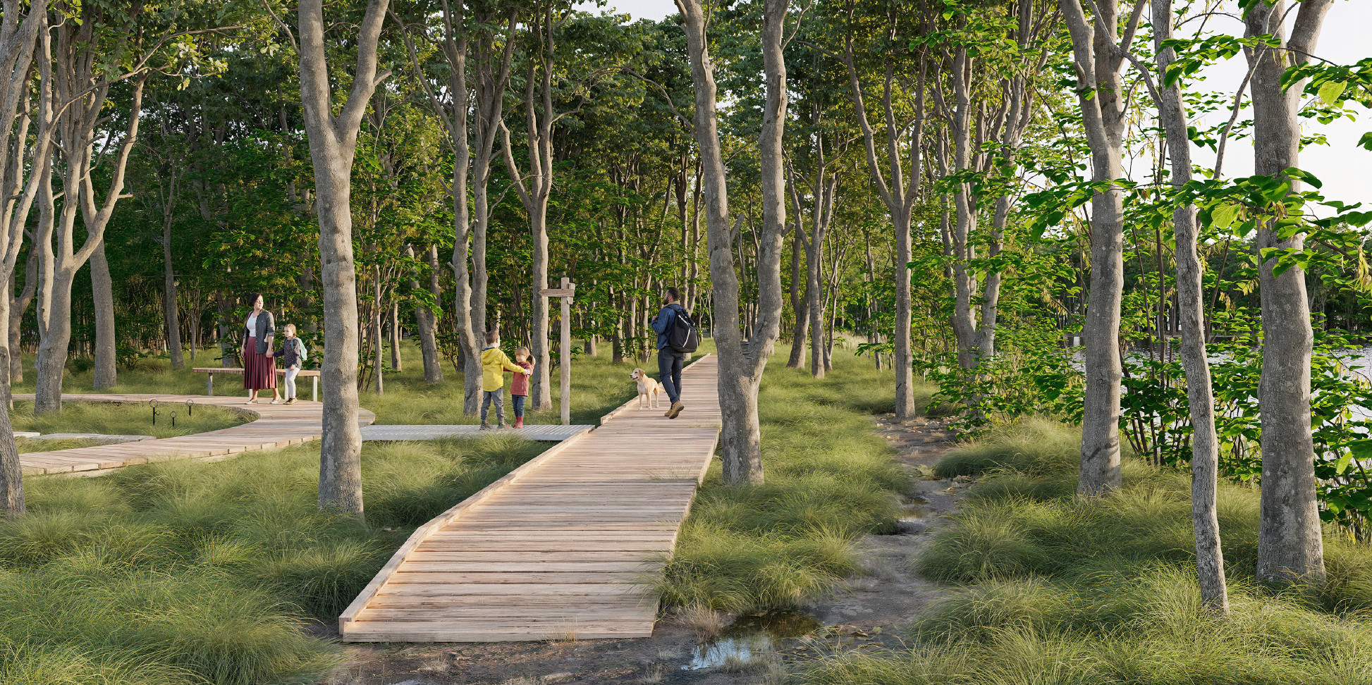 studie masinak molo | Město Varnsdorf